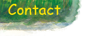 Contact Lorraine Nelson Wolf