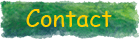 Contact Lorraine Nelson Wolf